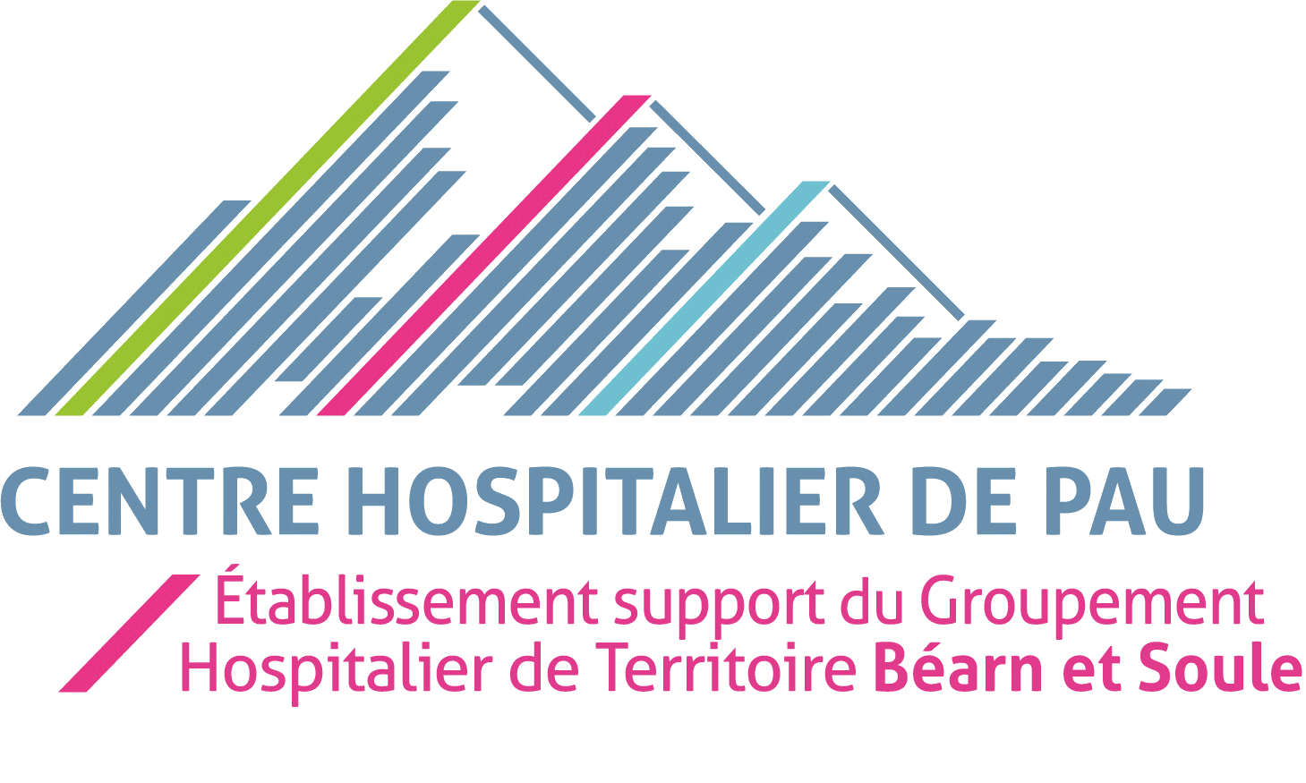 centre-hospitalier-pau